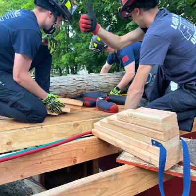 Cribbing